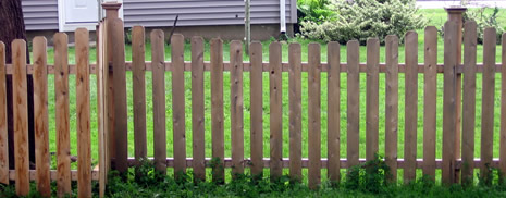 Cedar Fencing