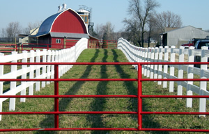 Board Fencing