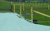 Hi tensile fencing for cattle