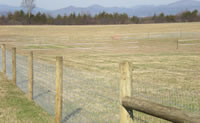 Hi tensile fencing for cattle