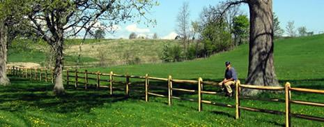 Split-rail fencing for agriculutral and livestock needs
