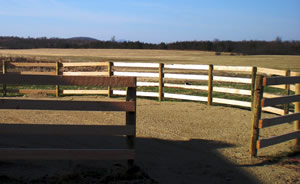 Board fencing