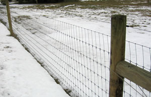 Wire fencing